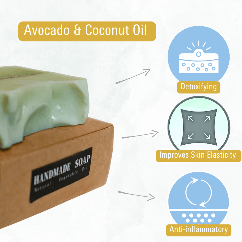 Daily Essentials Bundle